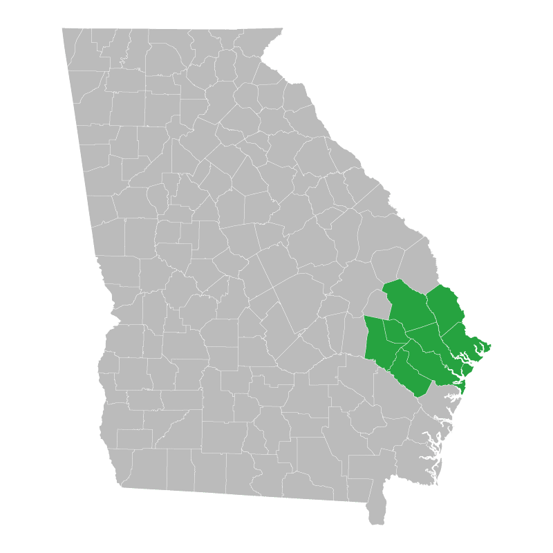 County map of Georgia with specific counties that Savannah Shredding serves in green.